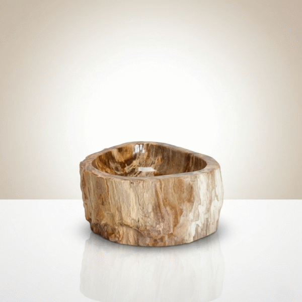 Petrified Wood Sink Brown N°11