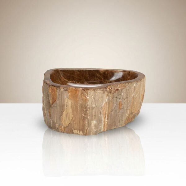 Petrified Wood Sink Brown N°06