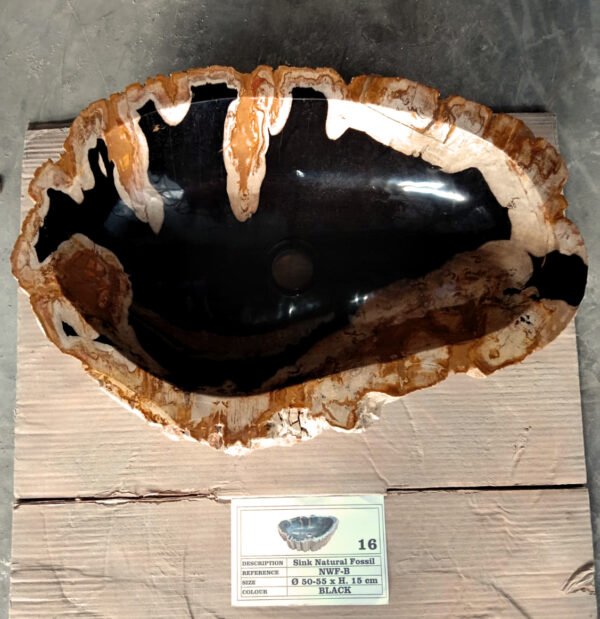 NATURAL FOSSIL BLACK SINK