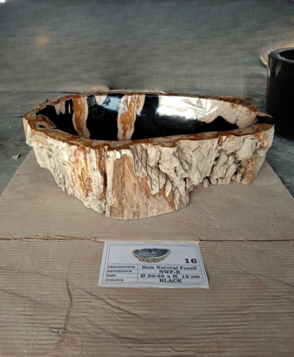 NATURAL FOSSIL BLACK SINK