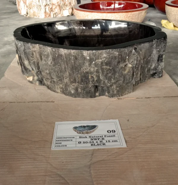 Petrified Wood Sink Black N°09 - Image 3