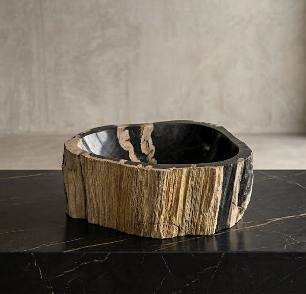 Black Petrified Wood Vessel Sink | Natural Stone Bathroom Basin N° 15