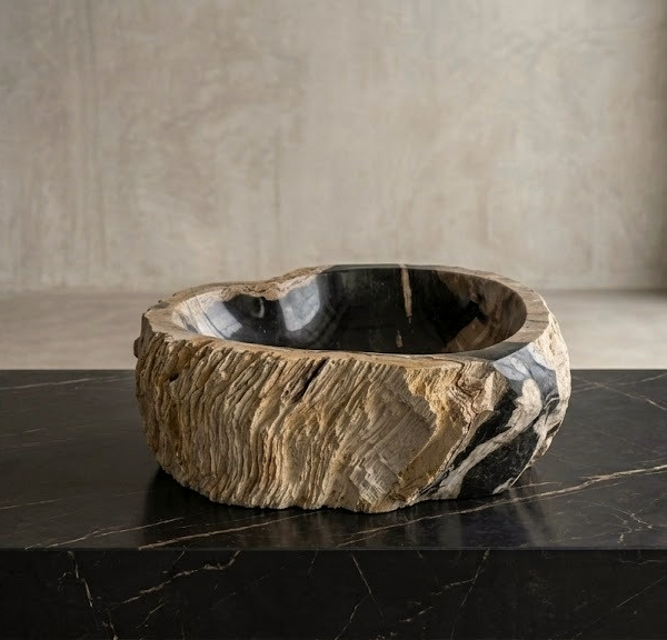 Black Petrified Wood Vessel Sink | Natural Stone Bathroom Basin N° 16