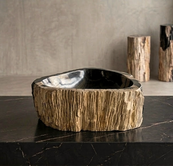 Black Petrified Wood Vessel Sink | Natural Stone Bathroom Basin N° 18