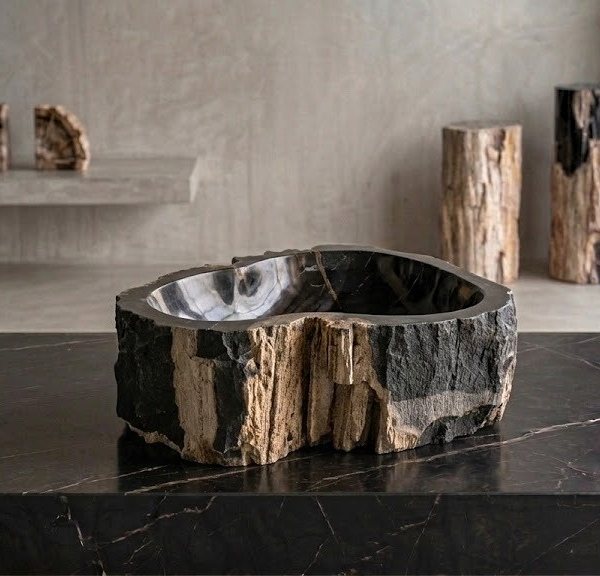 Black Petrified Wood Vessel Sink | Natural Stone Bathroom Basin N° 20