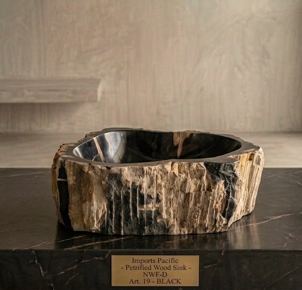 Black Petrified Wood Vessel Sink | Natural Stone Bathroom Basin N° 21