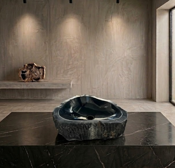 Black Petrified Wood Vessel Sink | Natural Stone Bathroom Basin N° 24